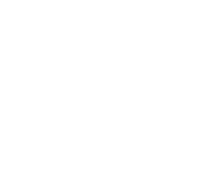 One Year Guarantee
